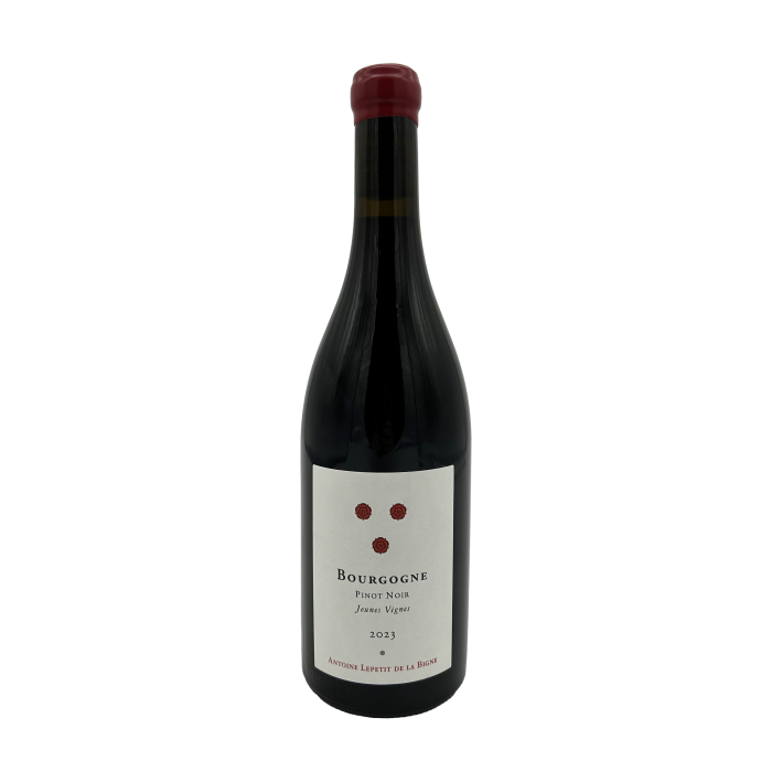 Bourgogne Pinot noir "Jeunes Vignes" - ab Januar 2025