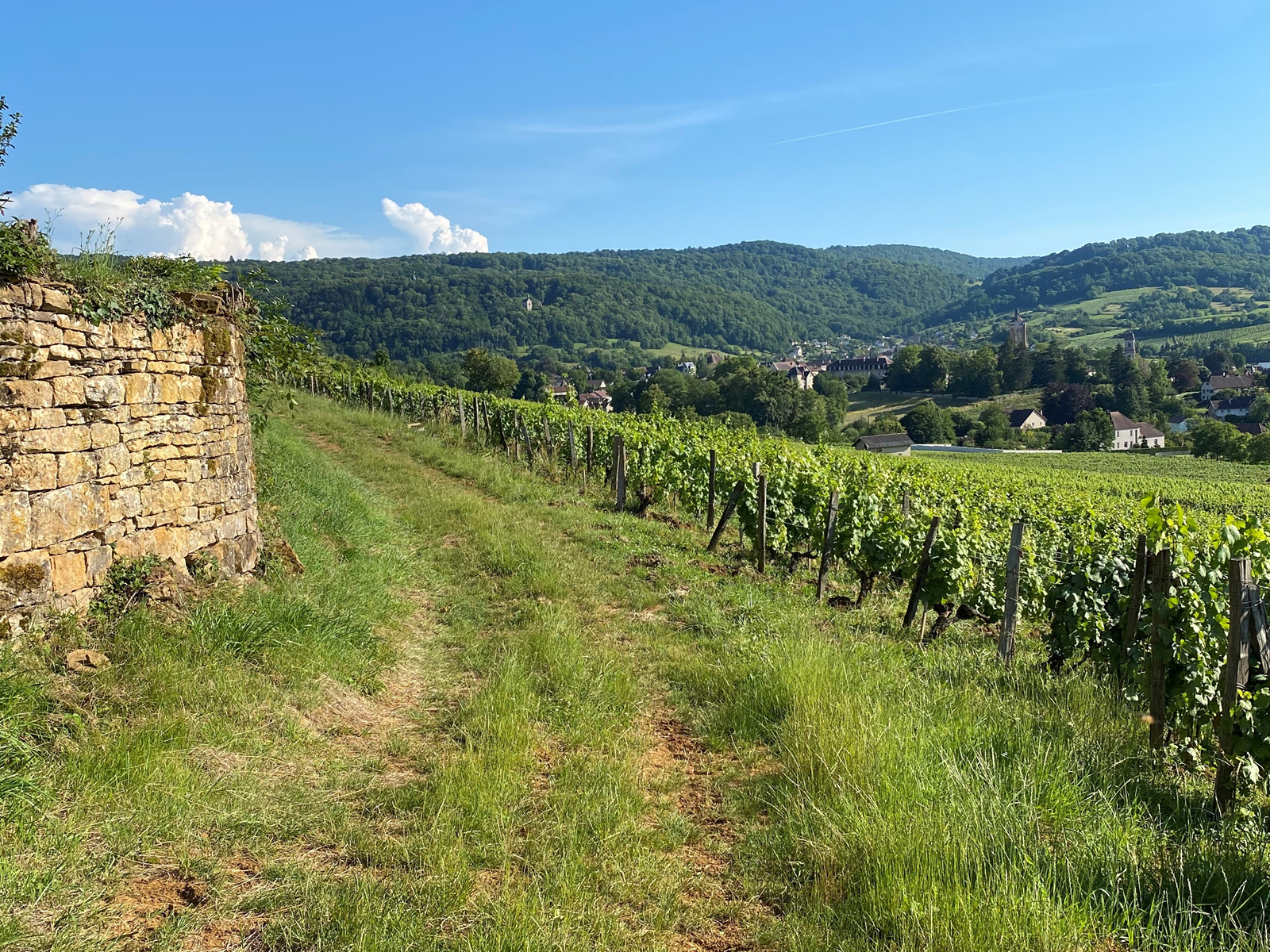 Anne & Jean-Francois Ganevat