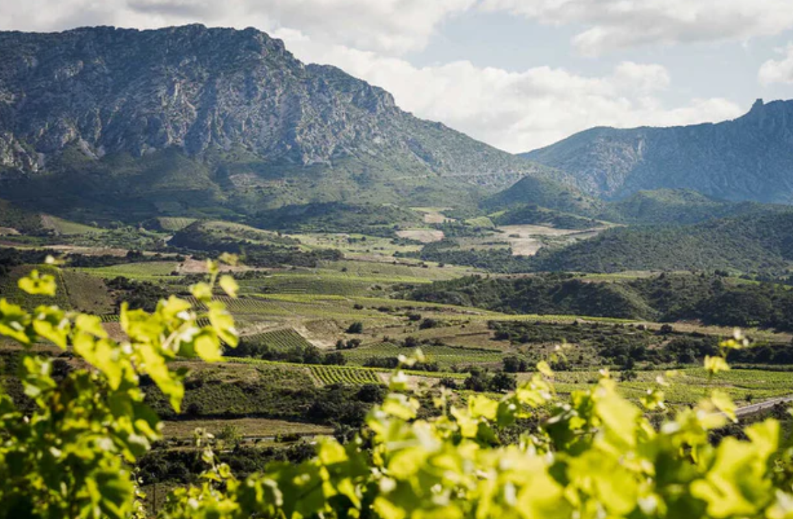 Domaine Christophe Marin