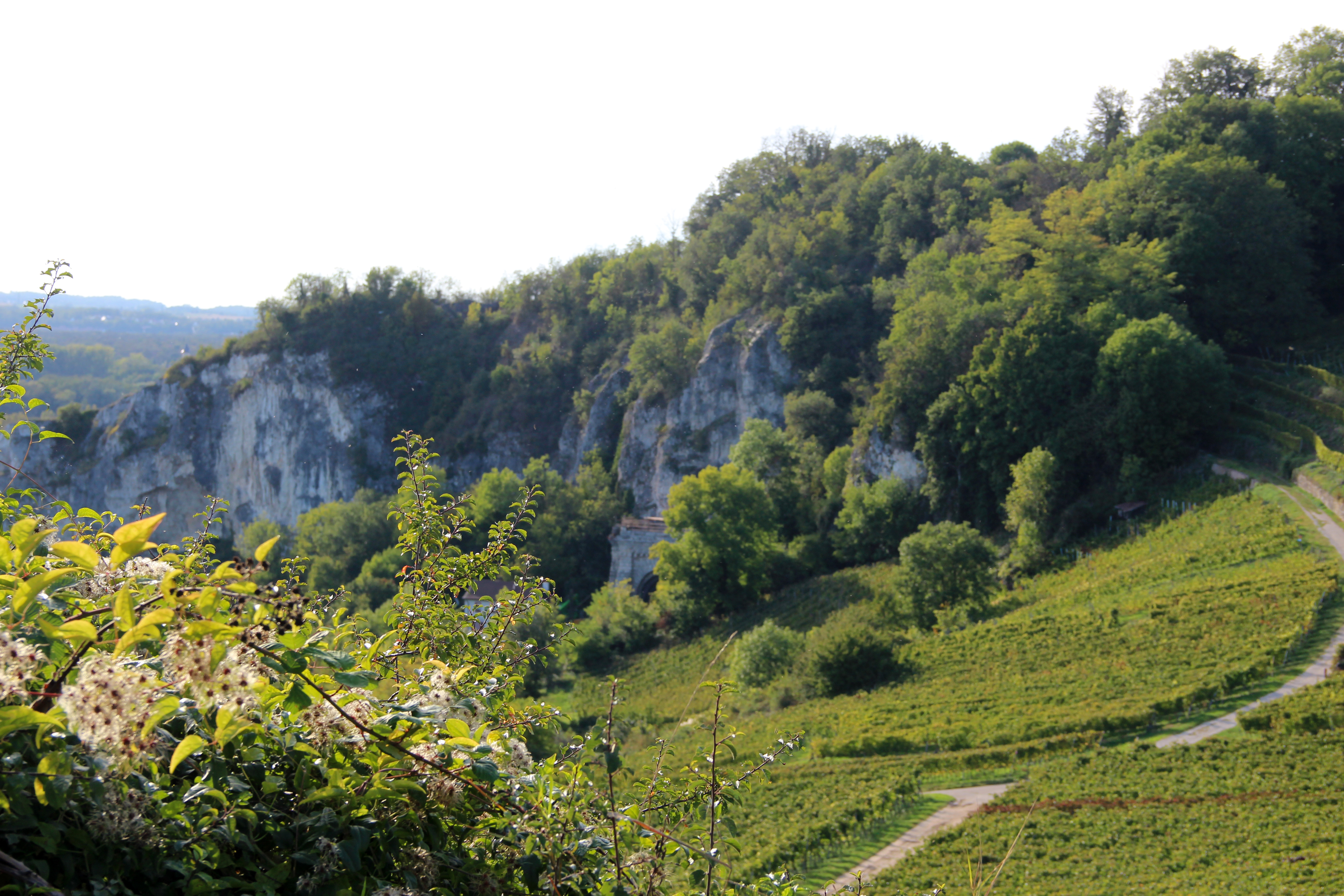 Weingut am Klotz