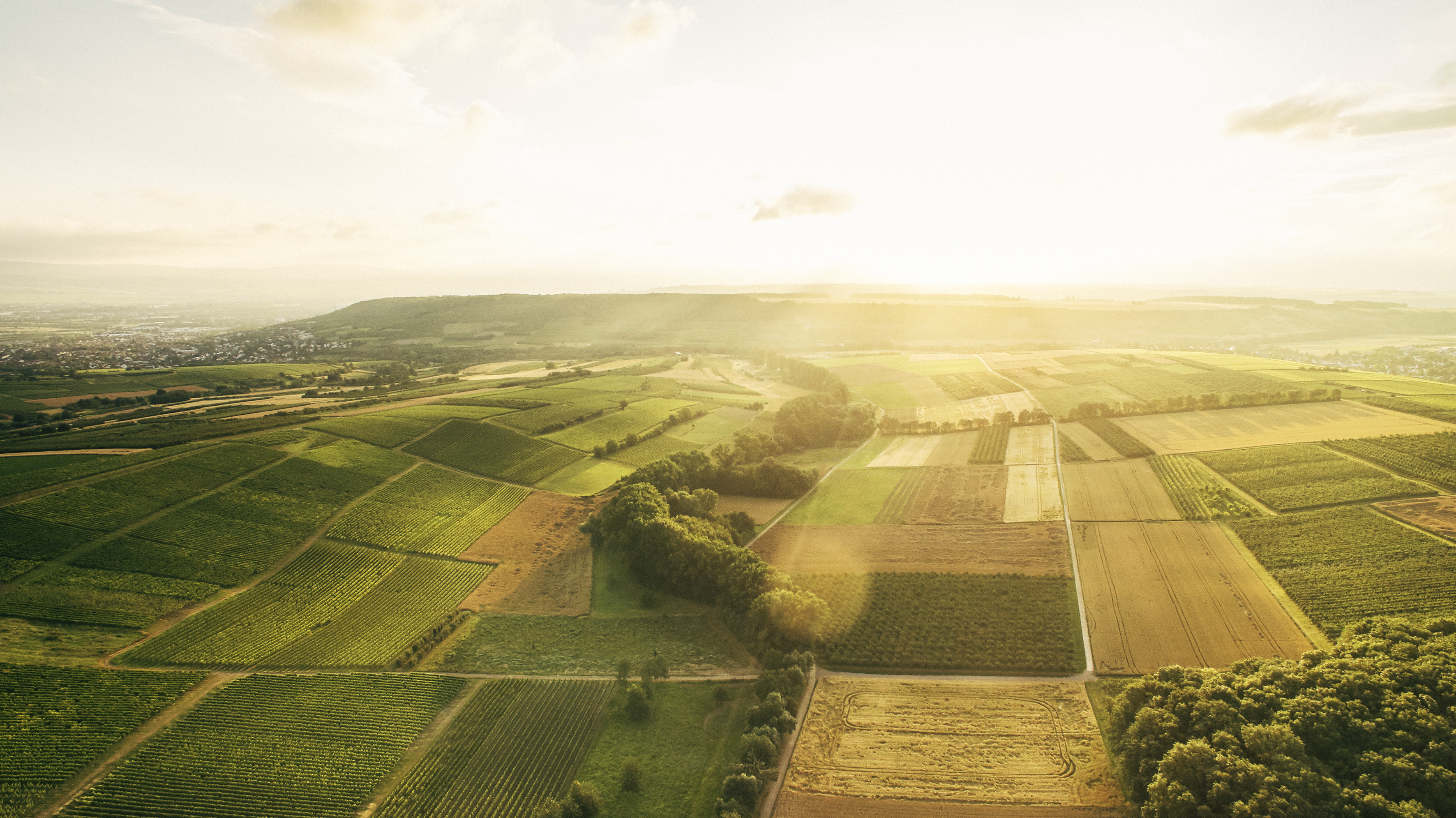 Weingut Knewitz