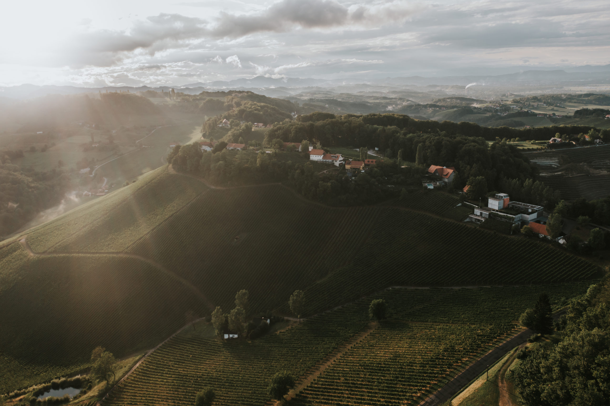 Weingut Tement